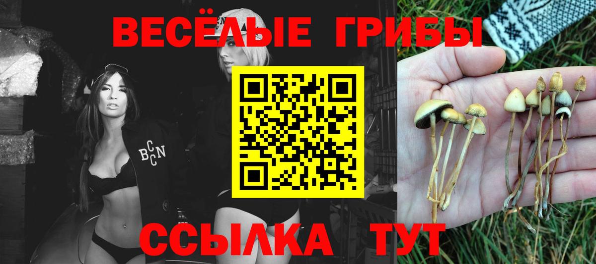Псилоцибиновые грибы прущие грибы  купить наркотики сайты  Заволжье  Вход с VPN  Галлюциногенные грибы MAGIC MUSHROOMS 