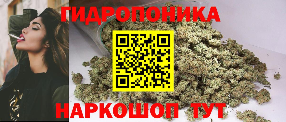 Бошки марихуана гибрид Заволжье